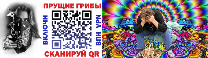 Галлюциногенные грибы мицелий  Лермонтов 